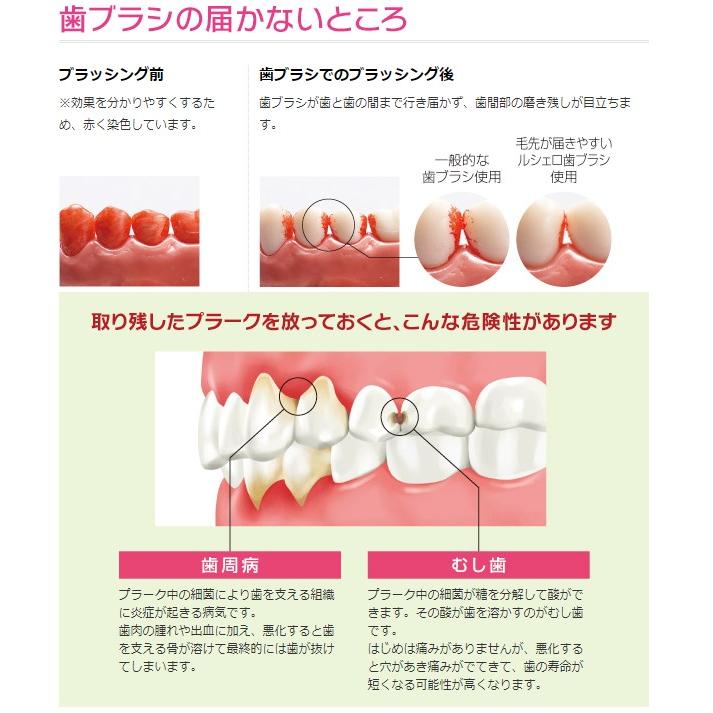 【最安値挑戦中】ルシェロ フロス 30m 6個  歯周病 歯肉 デンタルフロス 子供 歯茎 歯茎ケア | ルシェロ（ジーシー） | 06