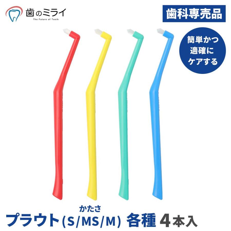 Oral Care（オーラルケア） 【最安値挑戦中】プラウト 4本（お試し） S