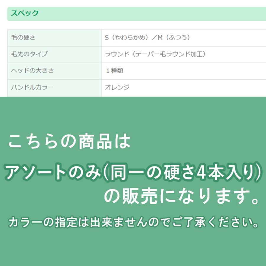 【最安値挑戦中】DENT.EX オーバーブラッシングケア 4本 歯ブラシ アソート S/M dent ex  コンパクト LION | システマ | 04