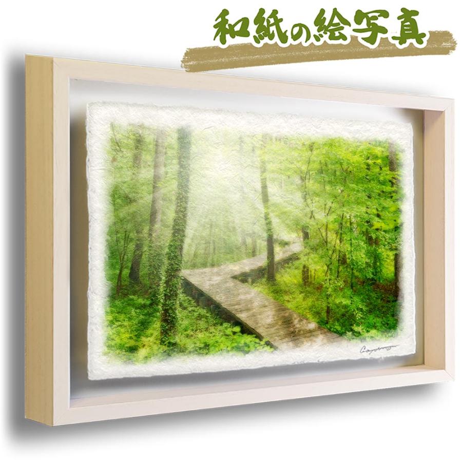 風水 玄関 絵 金運 絵画 トイレ 和紙 朝日の新緑の木道 アートフレーム 森 額入り 初夏 Sale 木
