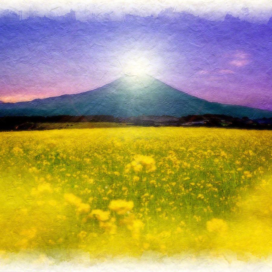 風水 玄関 絵 通販 金運 絵画 トイレ 黄色 アートパネル 菜の花畑とダイヤモンド富士 和紙 春