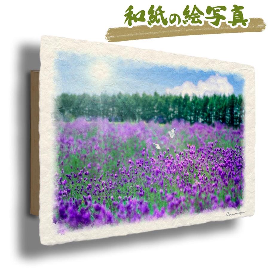77 Off 絵画 インテリア 玄関 風水 絵 風景画 版画 油絵 和紙の絵写真 アートパネル 花 夏 ラベンダー畑のモンシロチョウ Babylonrooftop Com Au