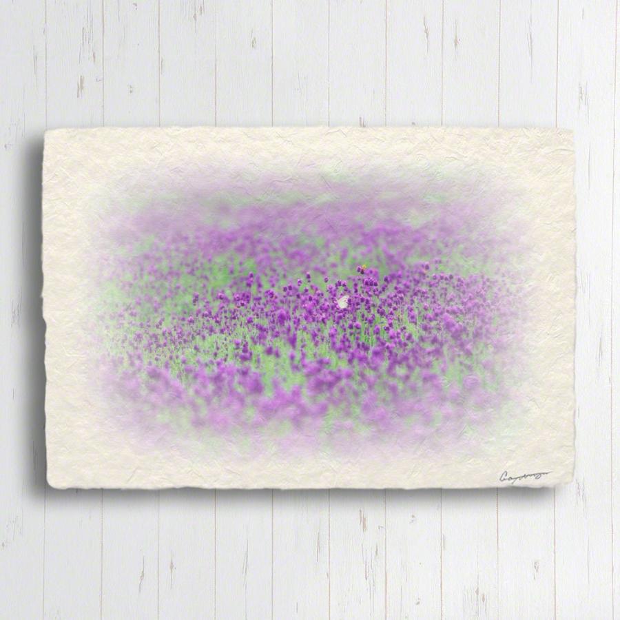 77 Off 絵画 インテリア 玄関 風水 絵 風景画 版画 油絵 和紙の絵写真 アートパネル 花 夏 ラベンダー畑のモンシロチョウ Babylonrooftop Com Au