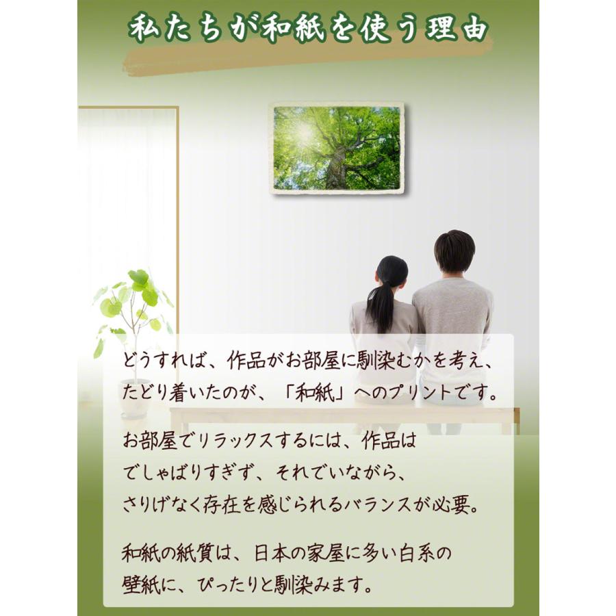 高価値セリー 絵画 インテリア 玄関 風水 絵 風景画 版画 油絵 和紙の絵写真 アートパネル 花 秋 青空と赤いコスモス Cisama Sc Gov Br