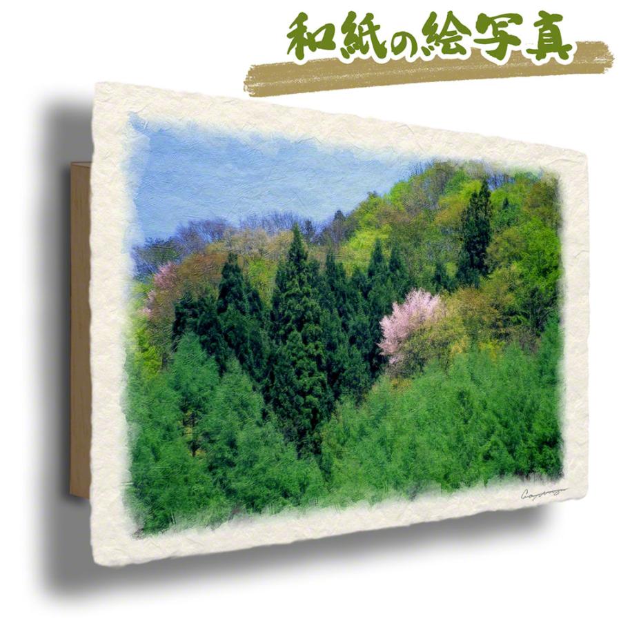 絵画 桜の木の商品一覧 通販 - Yahoo!ショッピング