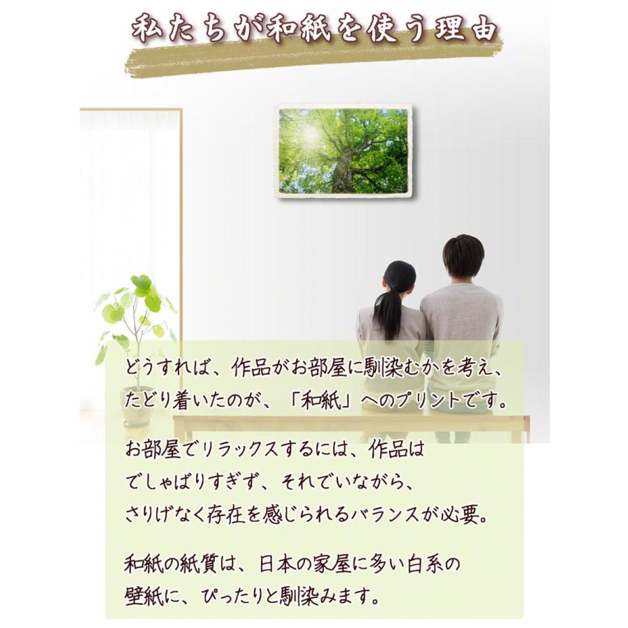 ショッピング 玄関 インテリア 絵 おしゃれ 風水 絵画 和紙 アートパネル 初夏 木 森 朝日の新緑の木道 Babylonrooftop Com Au