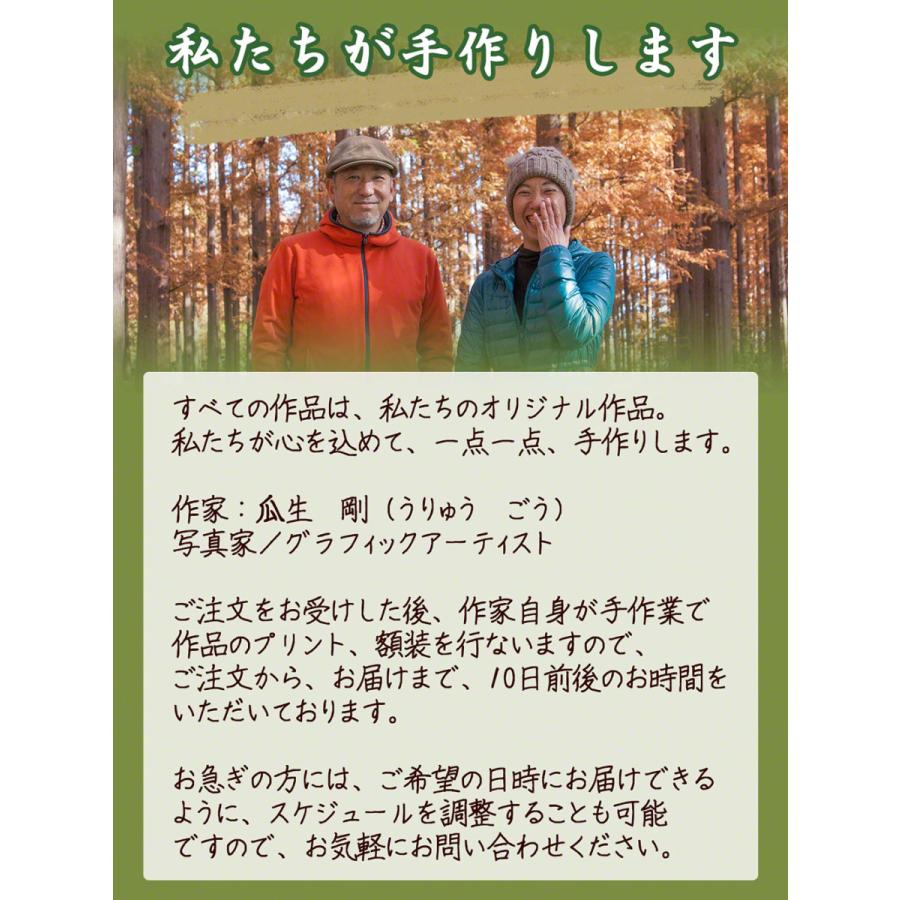 最新 絵画 インテリア 玄関 風水 絵 風景画 版画 油絵 和紙の絵写真 アートパネル 海 紫 夕暮れの一本の波 Cisama Sc Gov Br