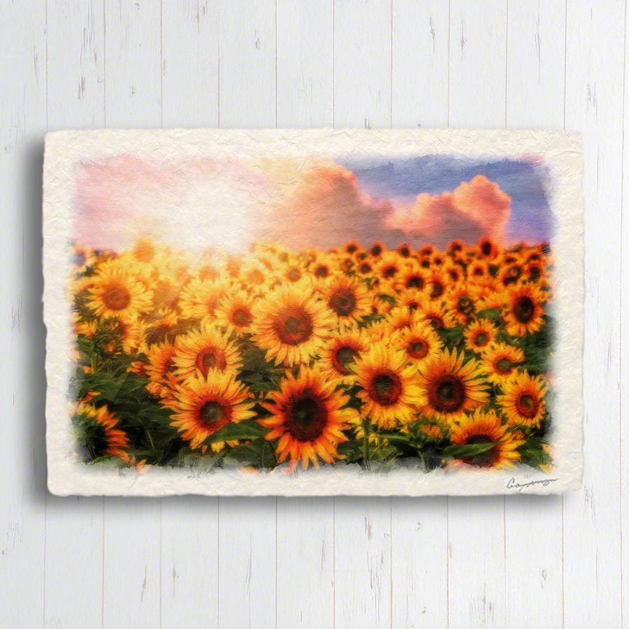 風水 玄関 新色追加 絵 金運 絵画 トイレ ひまわり畑と夕日の入道雲 アートパネル 黄色 花 夏 和紙