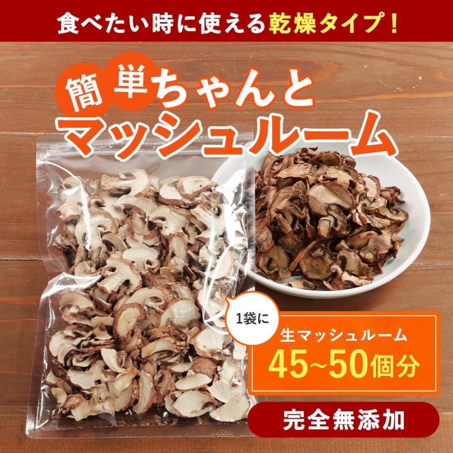 マッシュルーム 乾燥 40g 国産 生マッシュルーム45〜50個分 ドライ