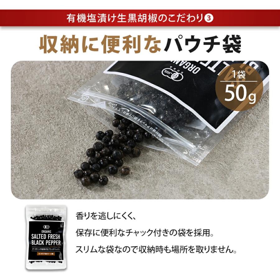 生胡椒 塩漬け 黒こしょう 有機 50g カンポットペッパー 有機原料使用