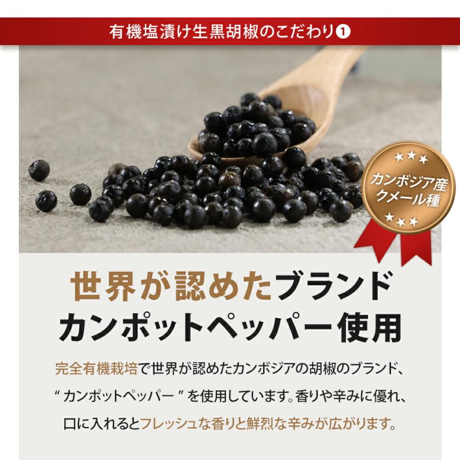 生胡椒 塩漬け 黒こしょう 有機 50g カンポットペッパー 有機原料使用