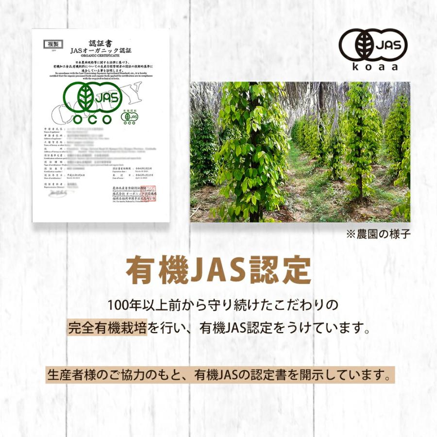 生胡椒 塩漬け 黒こしょう 有機 50g カンポットペッパー 有機原料使用