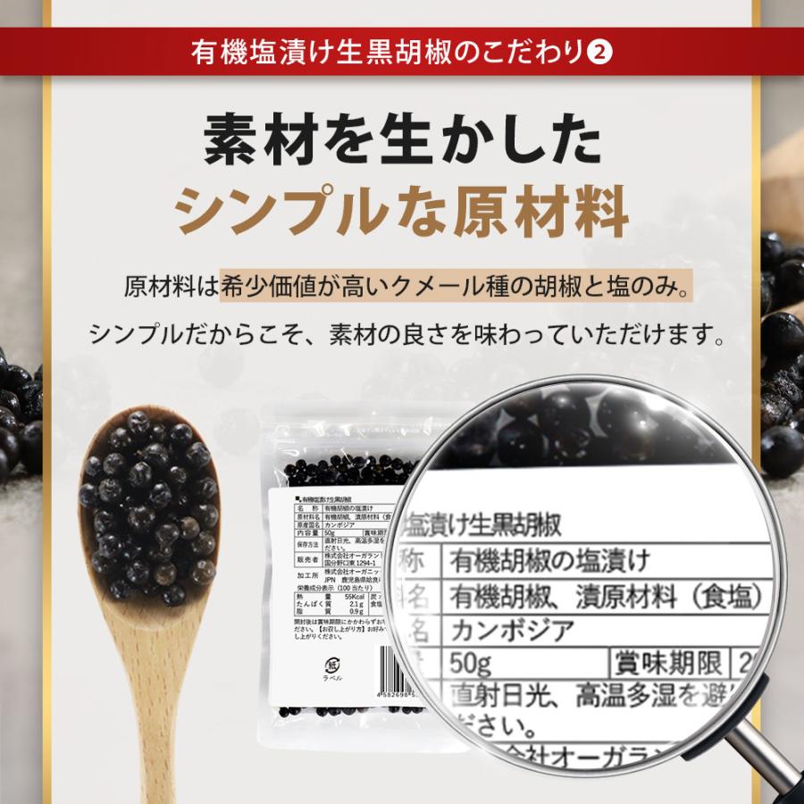 生胡椒 塩漬け 黒こしょう 有機 50g カンポットペッパー 有機原料使用