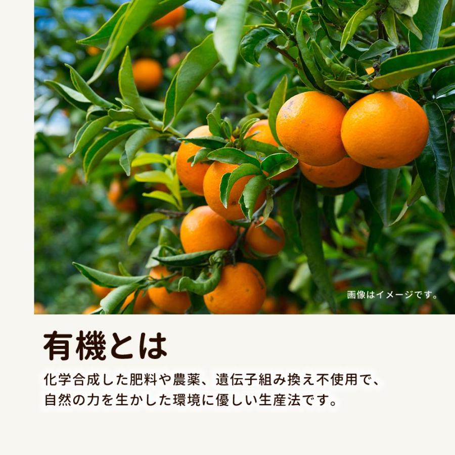 オレンジ ドライフルーツ マンダリン 130g 砂糖不使用 有機JAS認証