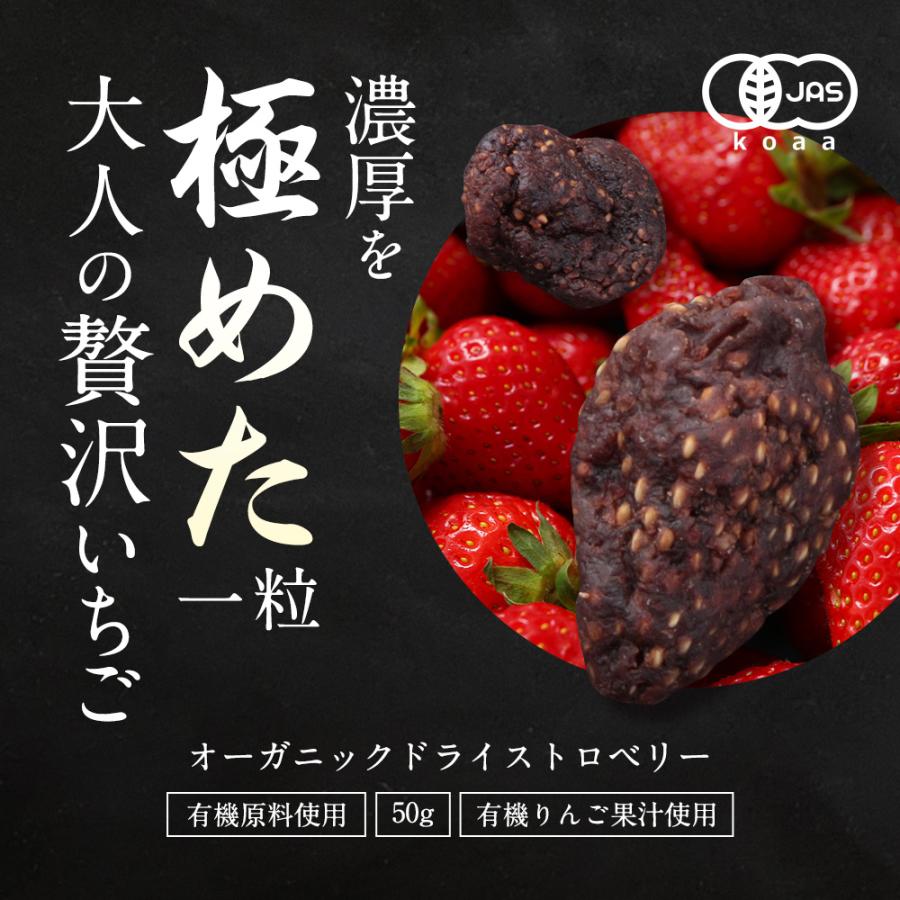 いちご ドライフルーツ ストロベリー 50g 砂糖不使用 ドライ