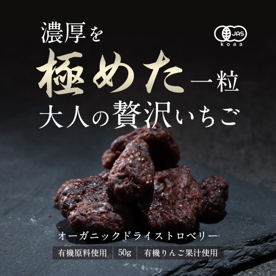 いちご ドライフルーツ ストロベリー 50g 砂糖不使用 ドライ