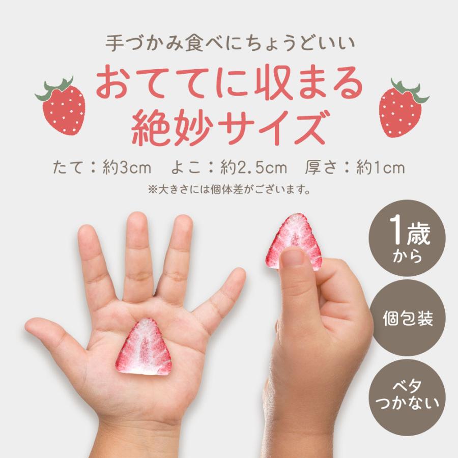 いちご ドライフルーツ ストロベリー otete ichigo 12個 個包装 砂糖不