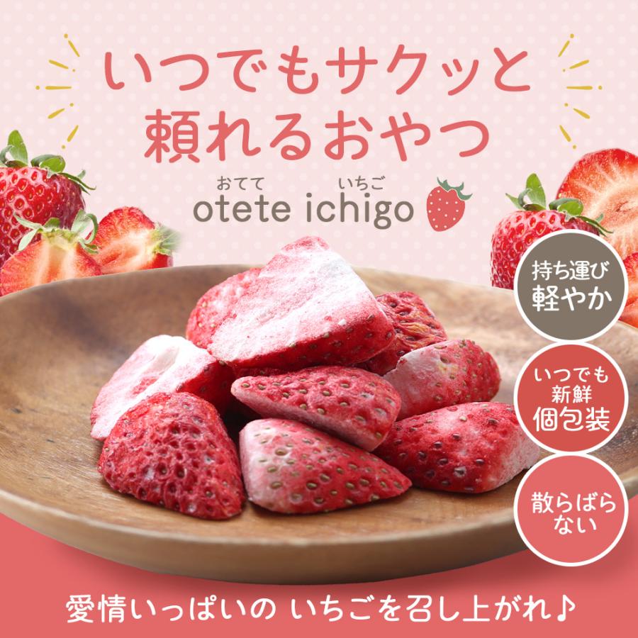 いちご ドライフルーツ ストロベリー otete ichigo 12個 個包装 砂糖不
