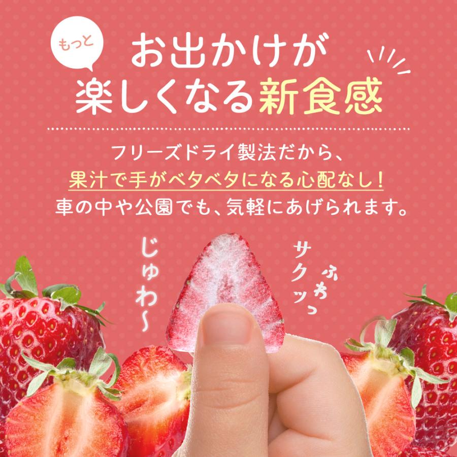 いちご ドライフルーツ ストロベリー otete ichigo 12個 個包装 砂糖不