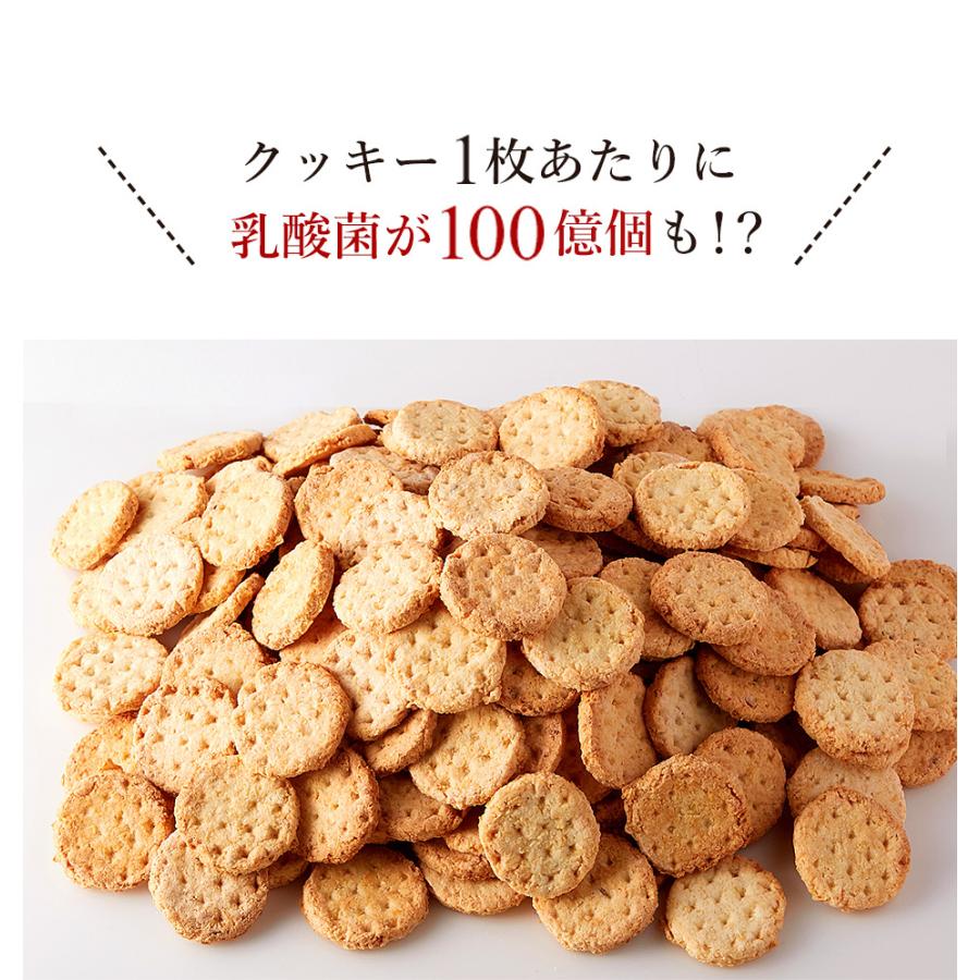 おからクッキー 乳酸菌100億個入り 豆乳おからクッキー 500g 1袋 ダイエットクッキー かたい メール便a Tsg Tn Nm008 5 ナチュマート 通販 Yahoo ショッピング