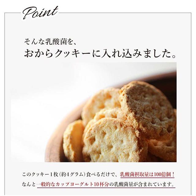 おからクッキー 乳酸菌100億個入り 豆乳おからクッキー 500g 1袋 ダイエットクッキー かたい メール便a Tsg Tn Nm008 5 ナチュマート 通販 Yahoo ショッピング