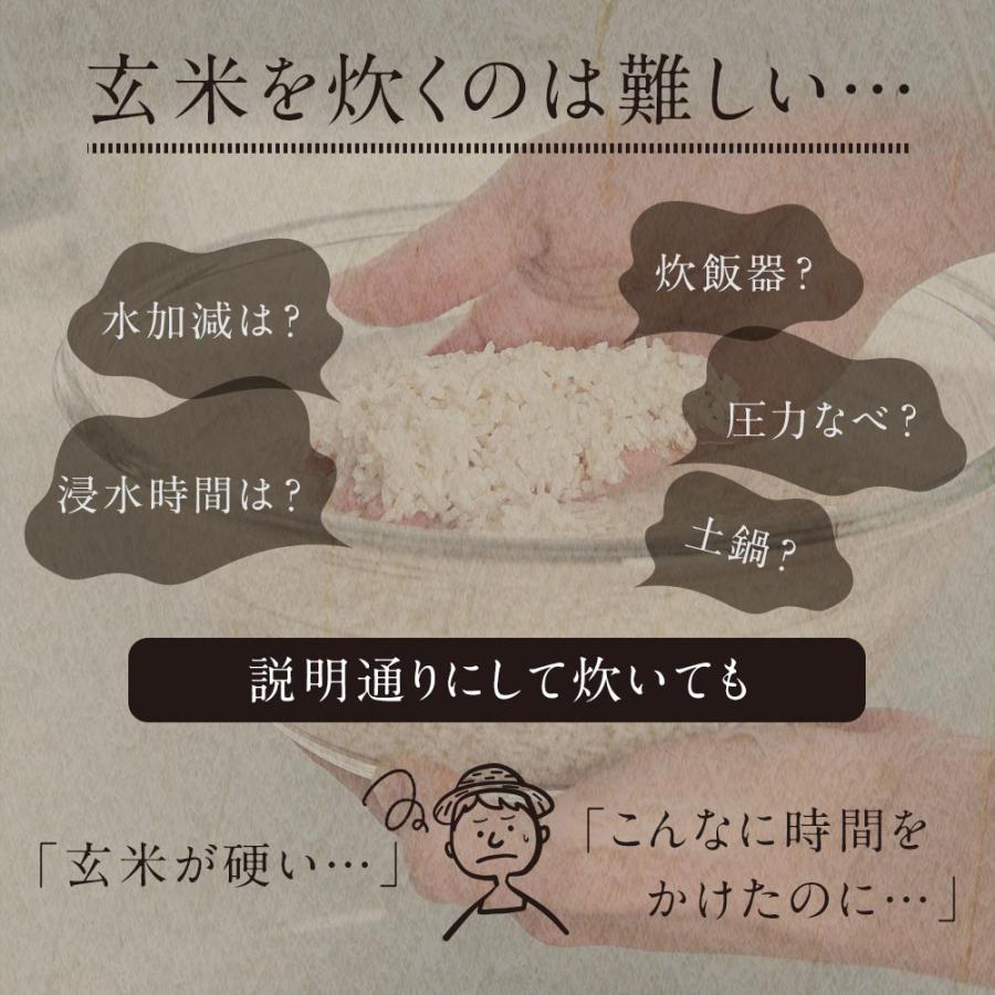 発酵 発芽玄米 パックご飯 160g×30食 レトルト ごはん 古代米 国産 ポイント消化_11