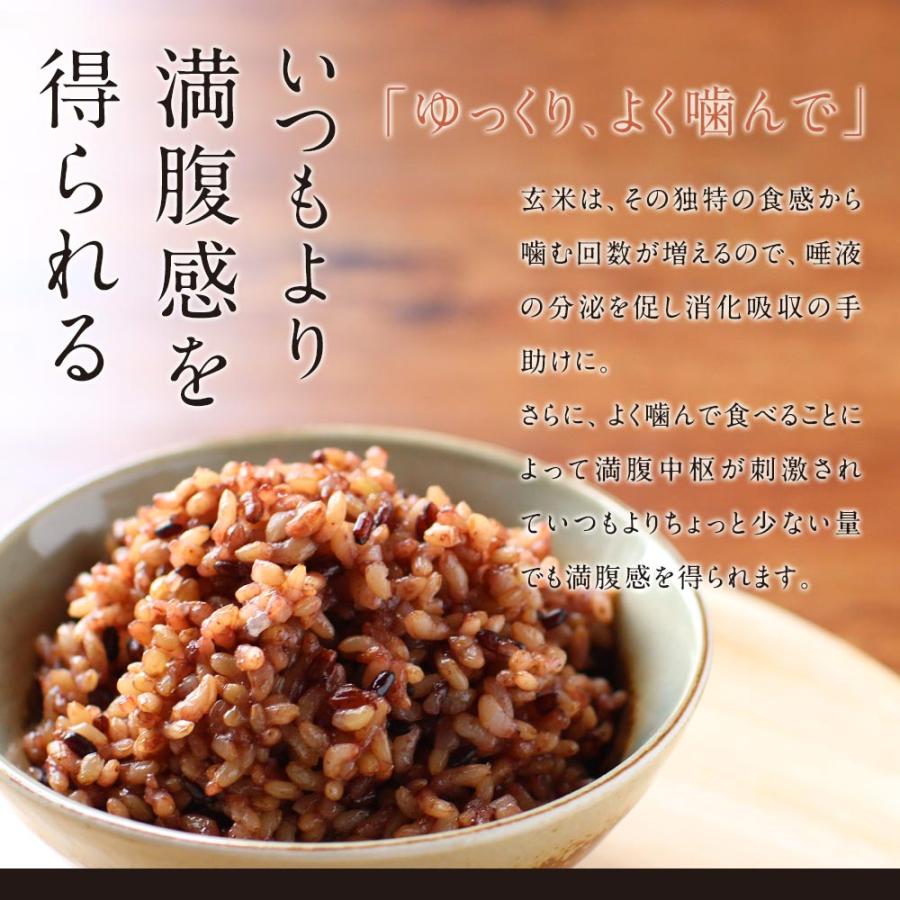 発酵 発芽玄米 パックご飯 160g×30食 レトルト ごはん 古代米 国産 ポイント消化_13