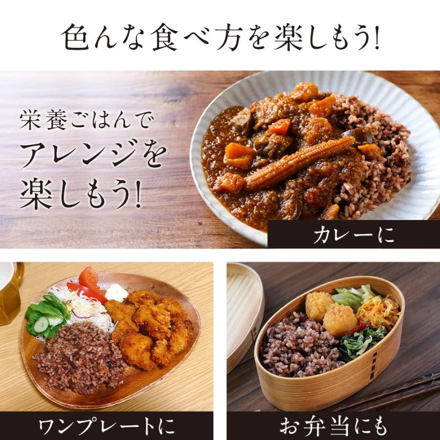 発酵 発芽玄米 パックご飯 160g×30食 レトルト ごはん 古代米 国産 ポイント消化_14