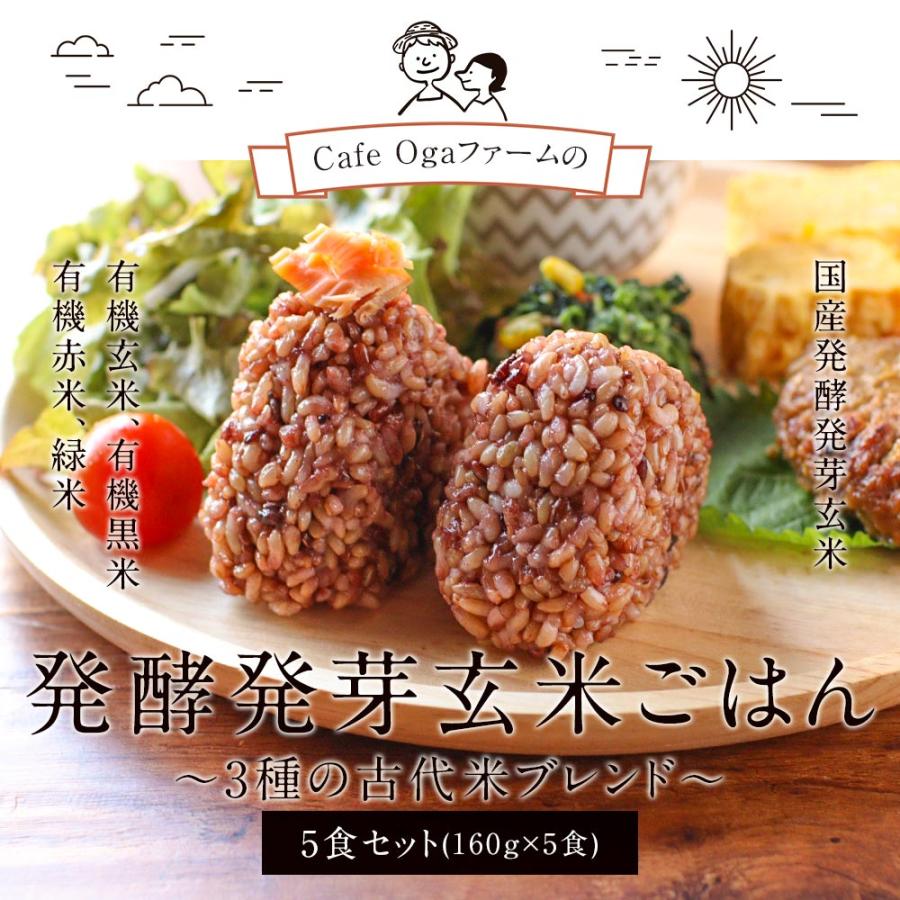 発酵 発芽玄米 パックご飯 160g×30食 レトルト ごはん 古代米 国産 ポイント消化_1