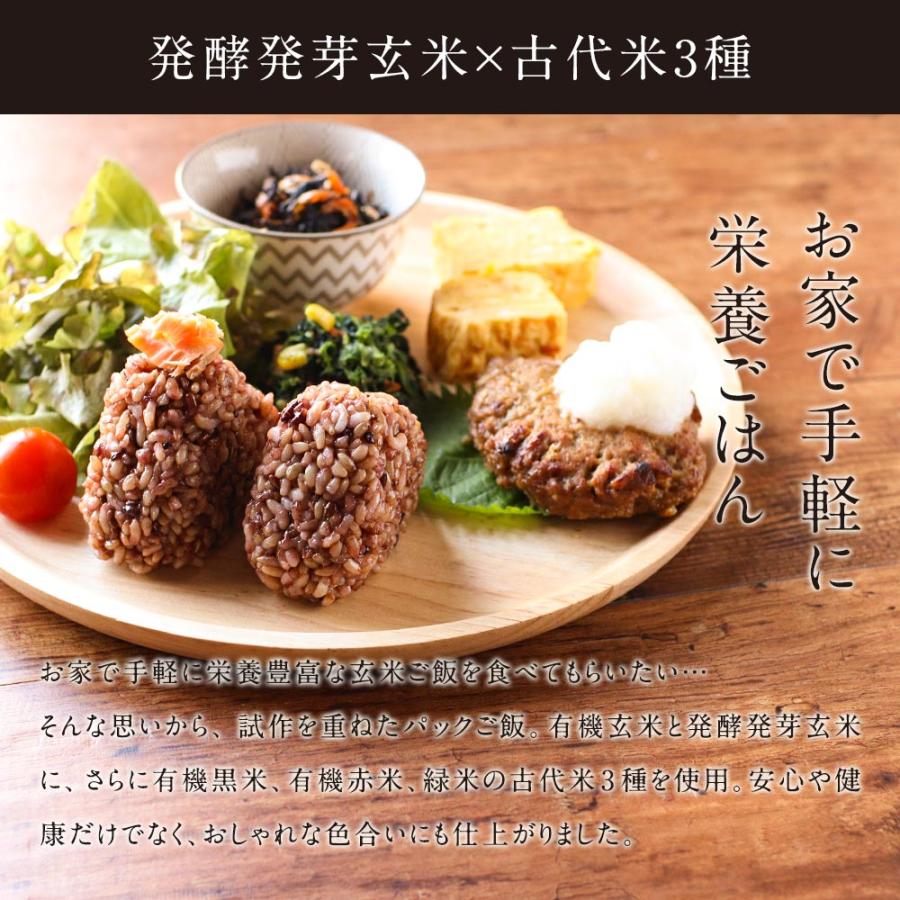 発酵 発芽玄米 パックご飯 160g×30食 レトルト ごはん 古代米 国産 ポイント消化_3