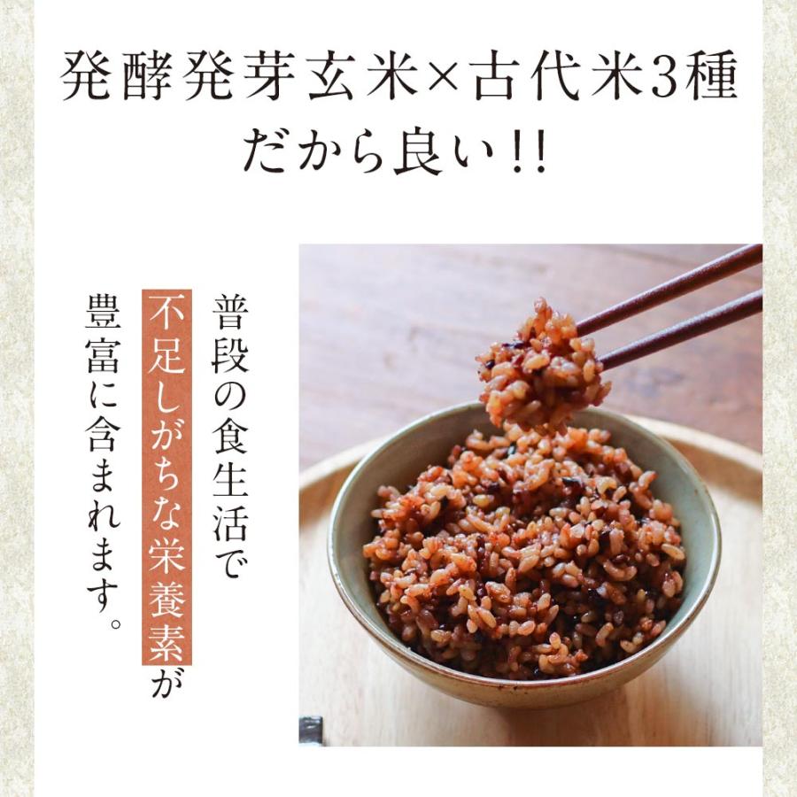 発酵 発芽玄米 パックご飯 160g×30食 レトルト ごはん 古代米 国産 ポイント消化_4