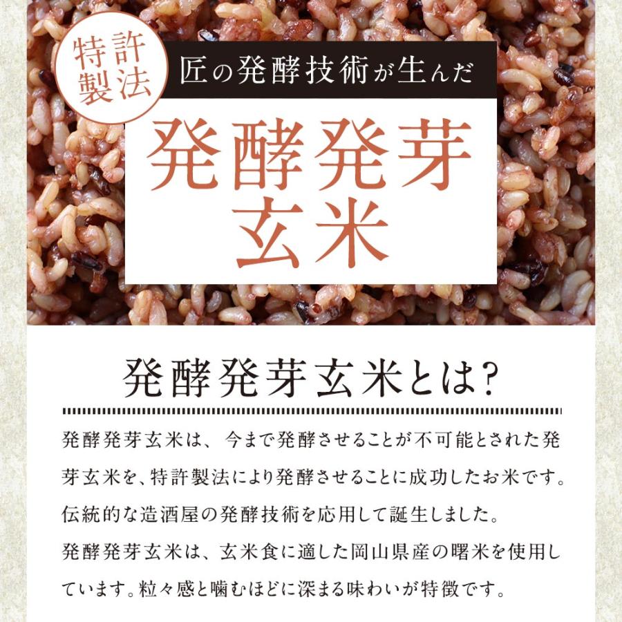 発酵 発芽玄米 パックご飯 160g×30食 レトルト ごはん 古代米 国産 ポイント消化_5