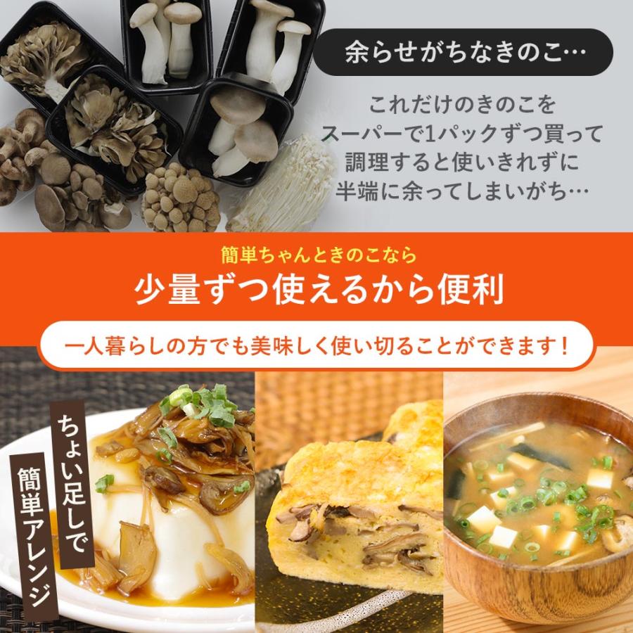 乾燥きのこ ミックス 国産 無添加 大容量 300g 50g 6袋 乾燥キノコ