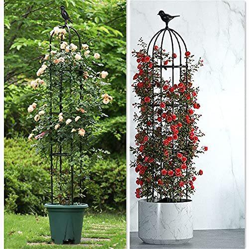 税込 送料無料 ミニオベリスク 24 180cm ガーデニング用支柱 バラ用 つる花 アイビー クレマチス 園芸支柱 簡単組立式 高さ自由 Novabookings Com Br