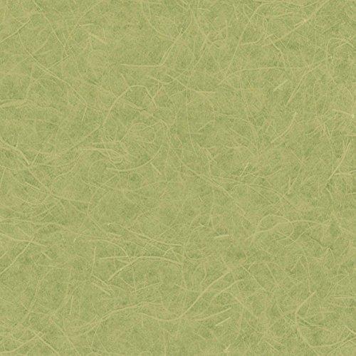 リリカラ 壁紙38ｍ 壁紙38ｍ Japan 和 和紙調 壁紙 グリーン Japan A Bbpcs 2107 Lw 2648 なつみショップ