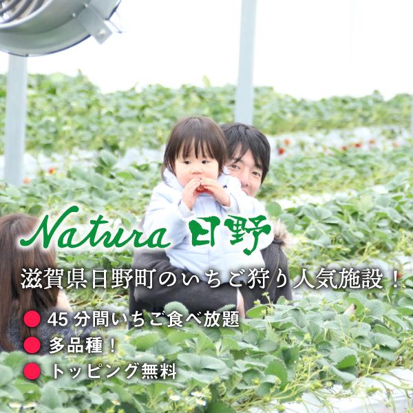 いちご　章姫　4パックセット　1ｋｇ　（ナチュラ日野）｜natura-hino｜04