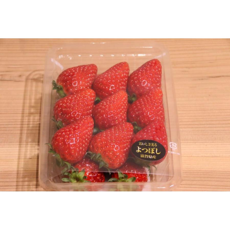 いちご4種類 食べ比べセット 1kg （ナチュラ日野） : natura日野