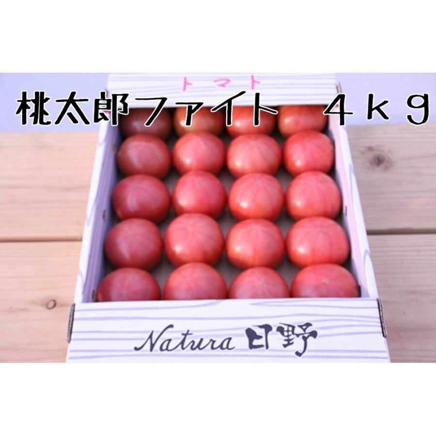 トマト 桃太郎ファイト 通販 ナチュラ日野 4ｋｇ