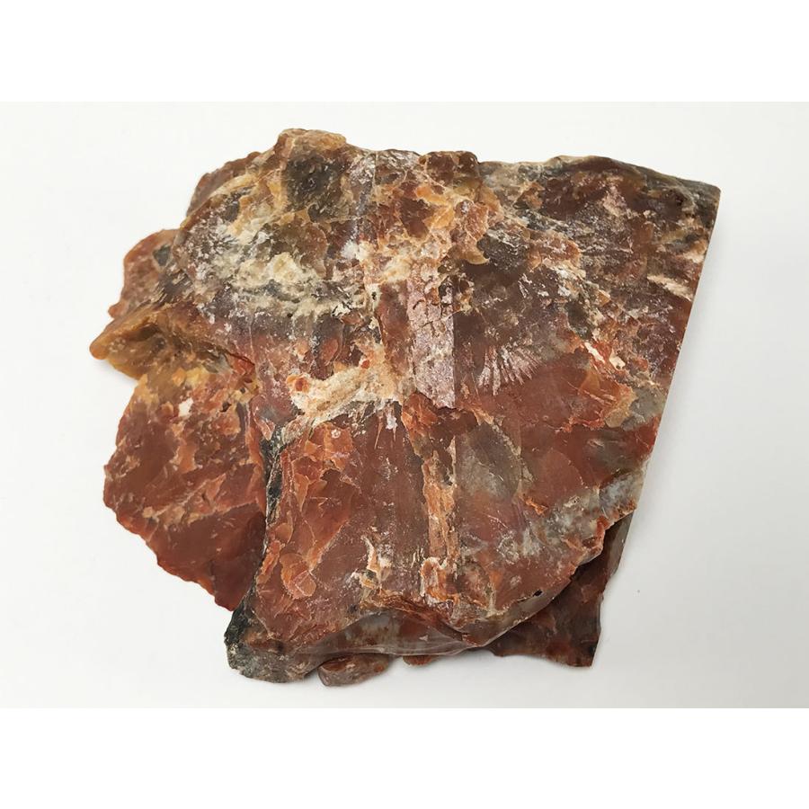 アリゾナ州産】ペトリファイドウッド（Petrified Wood）珪化木 原石 約
