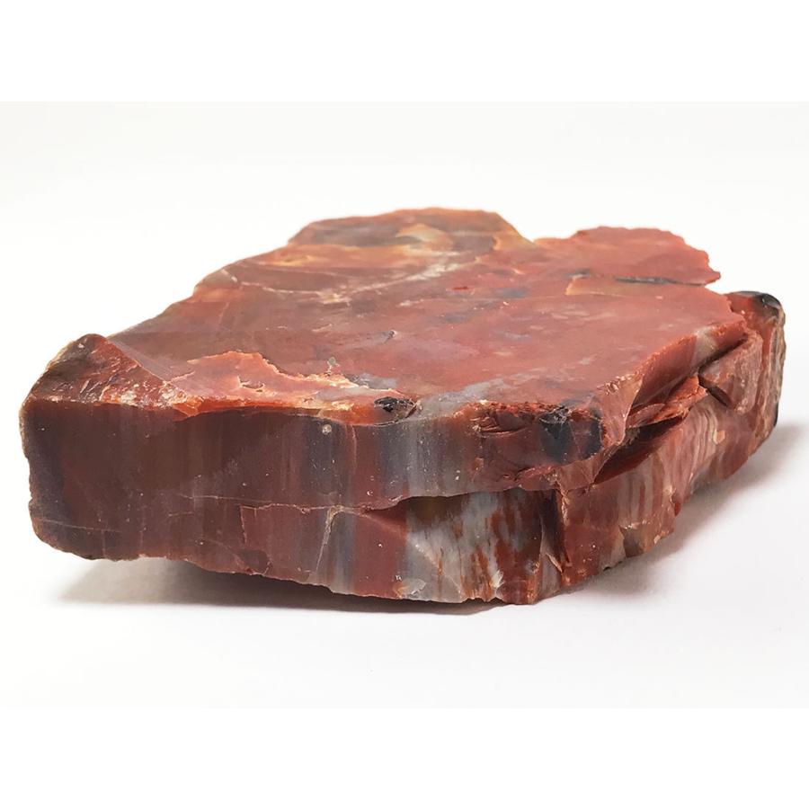 アリゾナ州産】ペトリファイドウッド（Petrified Wood）珪化木 原石 約