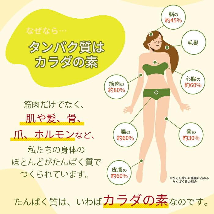 エンドウ豆 プロテインパウダー 2個セット ヴィーガンプロテイン 無糖 無添加 砂糖不使用 女性プロテイン 非常食 植物性プロテイン 低カロリー 高タンパク質 0101 2set ナチュラル エディフイック 通販 Yahoo ショッピング