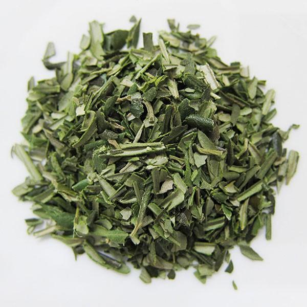 オリーブリーフティー ２g×10包[有機JAS認証オリーブ葉使用](お茶 ティーバッグ 健康飲料 美容 オーガニック ポリフェノール ノンカフェイン) |  | 03