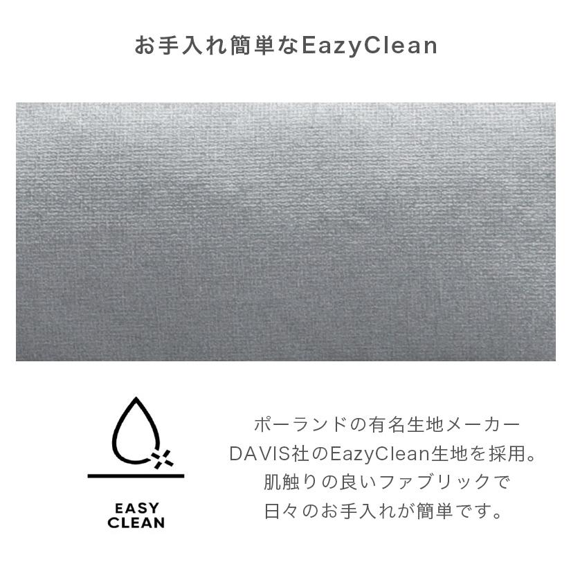 2人掛けソファ ソファ ソファー 160cm幅 脚付き 2人掛け おしゃれ 2Pソファ ファブリック EazyClean Sバネ フェザー シリコンフィル 2P_6