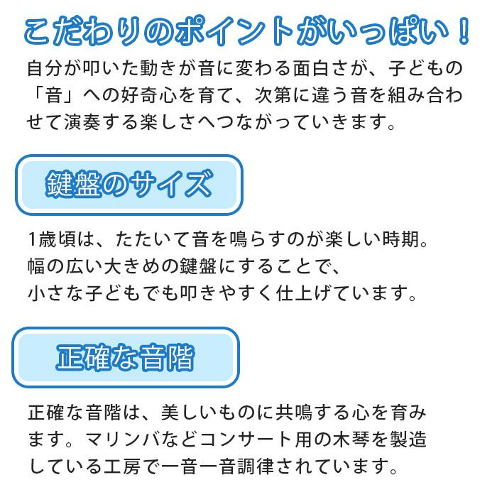 ボーネルンド BorneLund パレットシロフォン 木のおもちゃ 木琴 楽器 シロフォン 出産祝い｜natural-living｜04