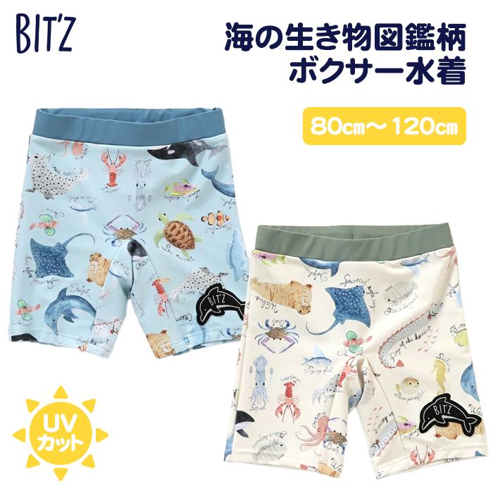 BIT'Z ビッツ 海の生き物図鑑柄 ボクサー水着 サックス キナリ