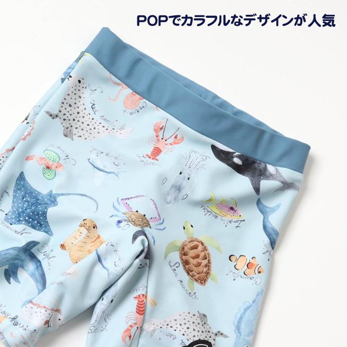 BIT'Z ビッツ 海の生き物図鑑柄 ボクサー水着 サックス 80cm UVカット