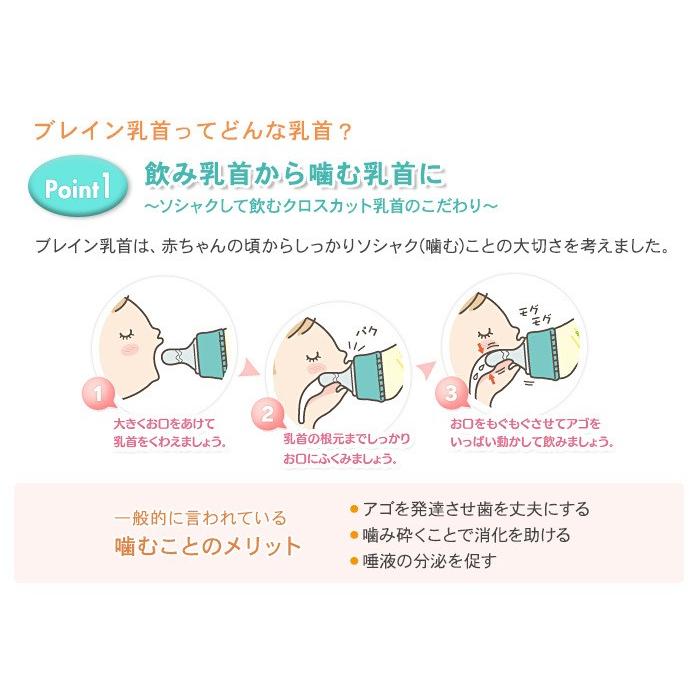 Sale 78 Off ベッタ 哺乳瓶 ブレインs3 1ml プラスチック Ppsu製 Betta ドクターベッタ 哺乳びん M Artpassions Ch