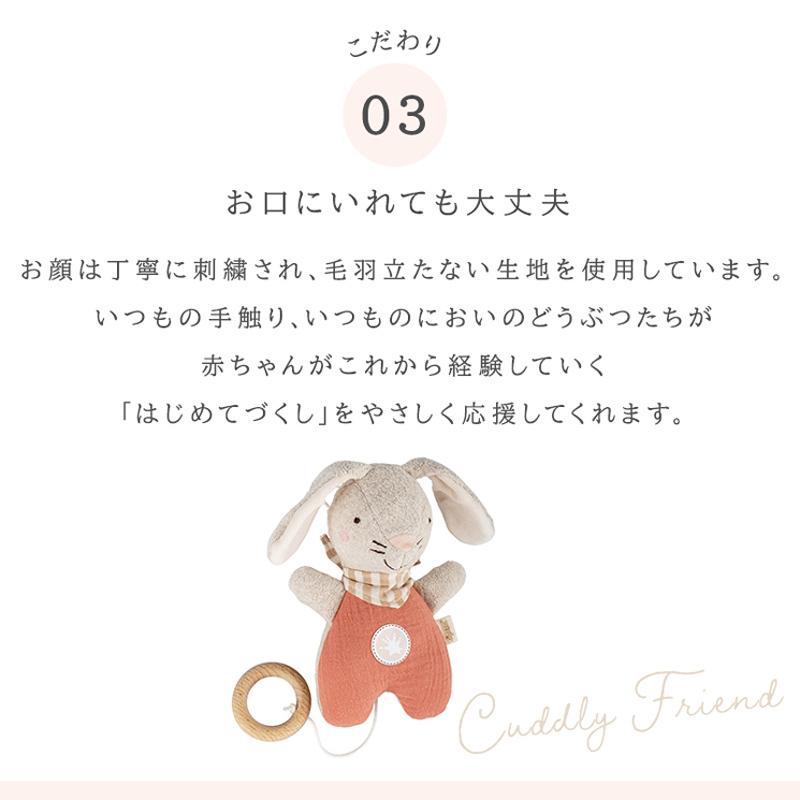 ボーネルンド BorneLund シギキッド ギフトセット グリーン ピンク おしゃぶりタオル ファーストトイ おしゃぶり 赤ちゃん 寝かしつけ ギフト ぬいぐるみ_8