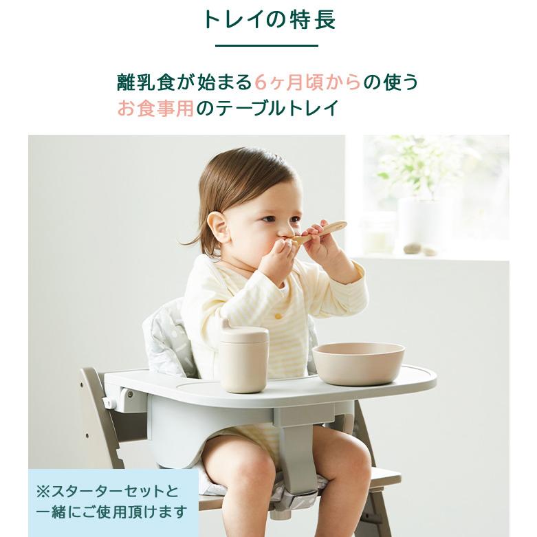 moji モジ イッピー コージィ + スターターセット トレイ 3点セット