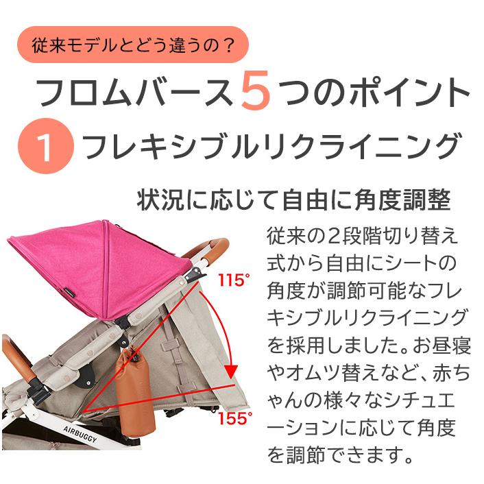 エアバギー ココ ダブル EX フロムバース クローバー ベビーカー a型 双子用ベビーカー 二人乗り｜natural-living｜07